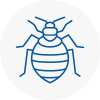 Bed Bug Extermination In Birtley