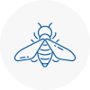 Bee Nest Removal Birtley