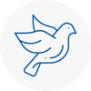 Bird Prevention Birtley
