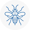 Birtley Hornet Nest Removals