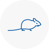 Mice Exterminators In Birtley