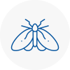 Moth Control Specialists In Birtley