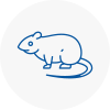 Rat Control Birtley