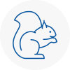 Birtley Rodent Removals
